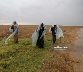 محاصيل زراعية (11).jpeg