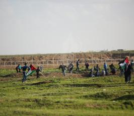 مسيرات العودة (8).JPG