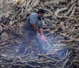 بيع الحطب مع اقترب فصل الشتاء (15).jpg