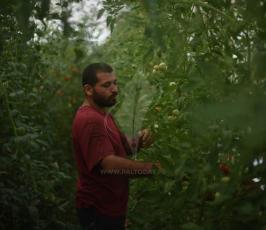 المحررات  بعد 13 عام من الإنسحاب (7).jpeg