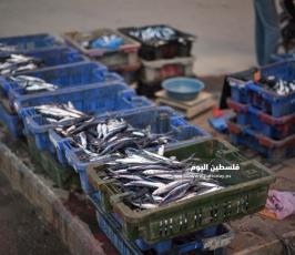 عصافير ‫(1)‬.jpg