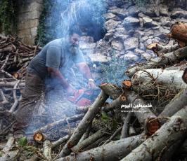 بيع الحطب مع اقترب فصل الشتاء (19).jpg