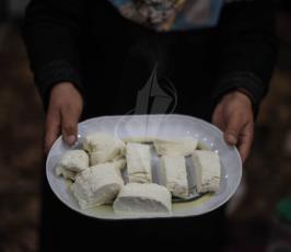 صناعة الجبنة البلدية  ‫(42336778)‬ ‫‬.jpeg
