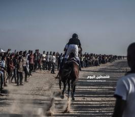 سباق خيول ‫(302715057)‬ ‫‬.jpg