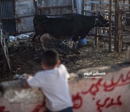 عيد الاضحى ‫(173447282)‬ ‫‬.jpg