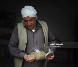 بنك البذور ‫(174278538)‬ ‫‬.jpg