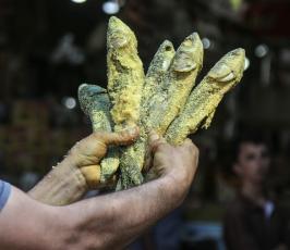 فسيخ فى أسواق غزة  ‫(38928899)‬ ‫‬.JPG