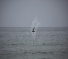 بحر غزة ‫(41943557)‬ ‫‬.JPG