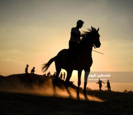 سباق خيول ‫(1)‬ ‫‬.jpg