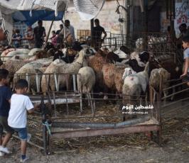 عيد الاضحى ‫(1)‬.jpg