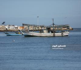 بحر غزة (2).JPG