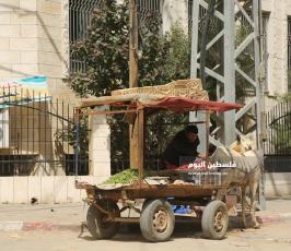 عربات الخضار للشوارع (12).JPG