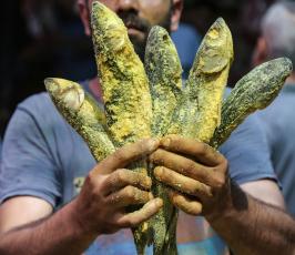 فسيخ فى أسواق غزة  ‫(38928902)‬ ‫‬.JPG