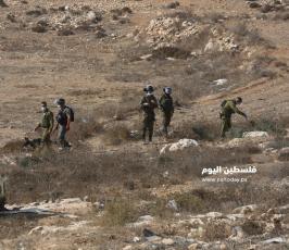 جيش الاحتلال (6).jpg