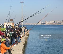 صيد بالصنارة في ميناء غزة البحري (2).JPG