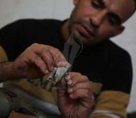مجدى ابو طاقية ‫(43123217)‬ ‫‬.JPG
