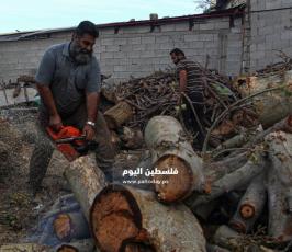 بيع الحطب مع اقترب فصل الشتاء (22).jpg