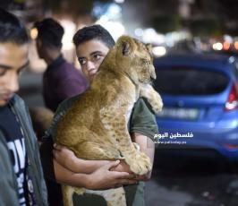 اسد1 ‫(3)‬ ‫‬.jpg