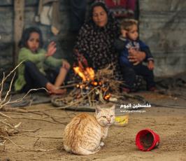 غرق منزل عائلة ابو اسعد صبح بيت لاهيا (3).JPG