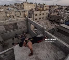 كمال اجسام  ‫(253040609)‬ ‫‬.jpg