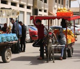 عربات الخضار للشوارع (1).JPG