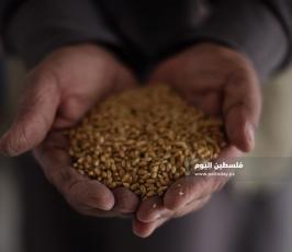 بنك البذور ‫(174278529)‬ ‫‬.jpg