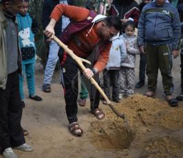 وفاة أربع أشبال في حديقة للحيوانات جراء الأحوال الجوية في مدينة رفح (6).jpeg