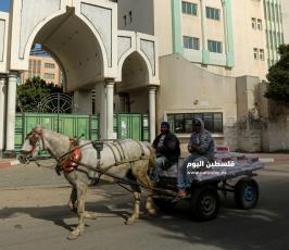 اغلاق المدارس والجامعات (6).JPG