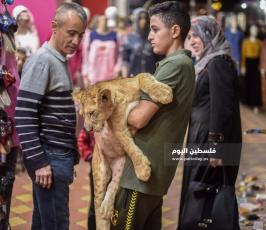 اسد1 ‫(1)‬ ‫‬.jpg