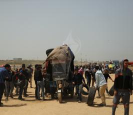 وحدة الكاوشوك ‫(42140168)‬ ‫‬.JPG