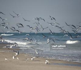 بحر خانيونس ‫(171349421)‬ ‫‬.jpg