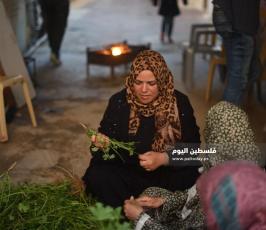 خبيزة ‫(2)‬ ‫‬.JPG