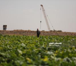 مزارعين على حدود غزة (5).JPG