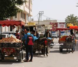عربات الخضار للشوارع (5).JPG