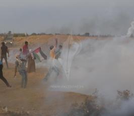 مسيرات العودة ‫(42271261)‬ ‫‬.jpg