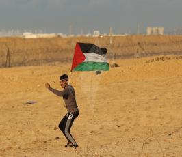 مواجهات زيكيم (25).JPG