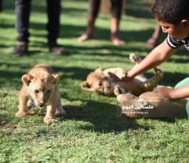 اشبال رفح ‫(302713024)‬ ‫‬.JPG