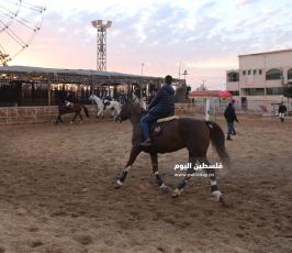  بطولة قفز الحواجز 120 سم في قطاع غزة (4).JPG