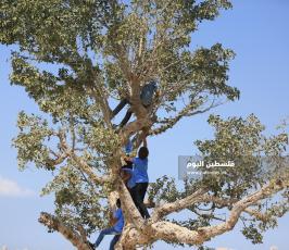 تلة المنطار ‫(1)‬.JPG