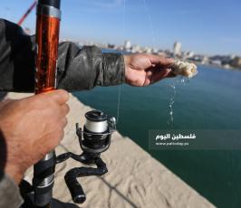 صيد بالصنارة في ميناء غزة البحري (18).JPG