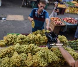 عنب ‫(174473798)‬ ‫‬.jpg