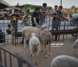 عيد الاضحى ‫(173447276)‬ ‫‬.jpg