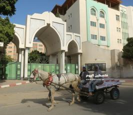 اغلاق كافة المدارس والجامعات بغزة (13).JPG