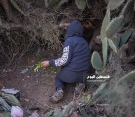 هليون ‫(290538165)‬ ‫‬.jpg