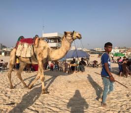  بحر غزة (12).jpeg