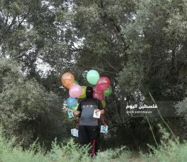 وحدة برق ‫(39453193)‬ ‫‬.JPG