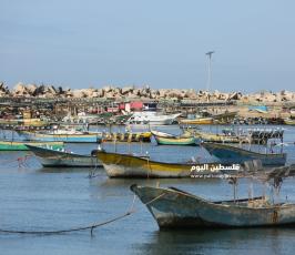 بحر غزة (13).JPG