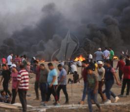  خطاب النخالة قرب الحدود شرق قطاع غزة  ‫(43123274)‬ ‫‬.JPG