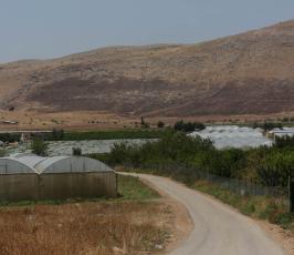 الأغوار - مشاهد من الحياة اليومية في قرية الجفتلك في الاغوار الوسطى. (3).jpg