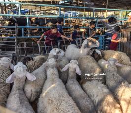 اضحى 2020 ‫(59924206)‬ ‫‬.jpg